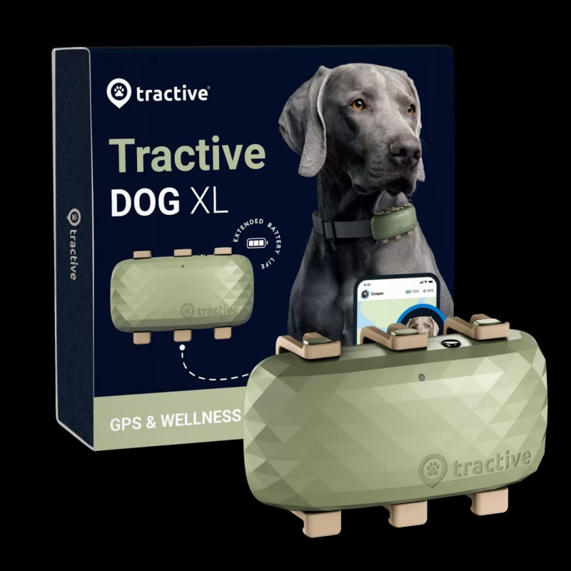 GPS Tractive Dog XL pour chien, suivi de l'activité du chien