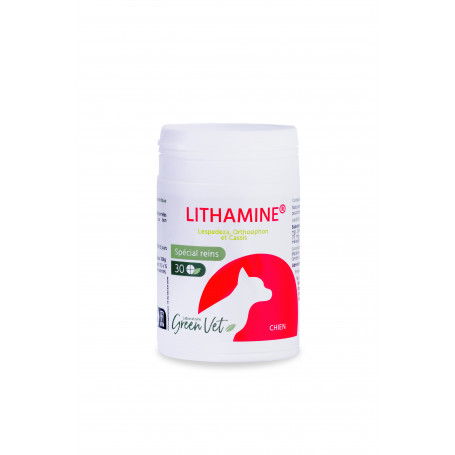 Lithamine Chien