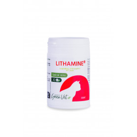 Lithamine Chat