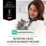 Ppvd Feline EN Stox Gastrointestinal