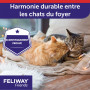 Feliway Friends