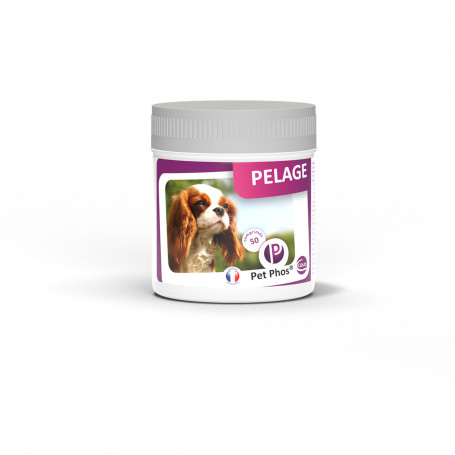 Pet-Phos Pelage chien