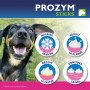 Prozym RF2 sticks à mâcher