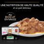 Cat Sterilised Nutrisavour Boeuf Sauce Sachet repas