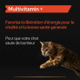 Pro Plan Multivitamins + Chat