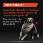 Pro Plan Multivitamins + Chien