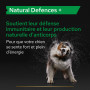 Pro Plan Natural Defences + Chien