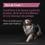 Pro Plan Skin and Coat + Chien