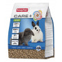 Care + Lapin