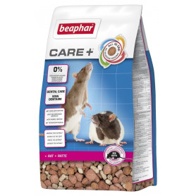 Care + Rat