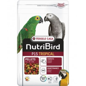 Nutribird Perroquets P15 Tropical (extrudé)