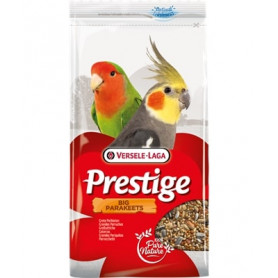 Prestige grandes Perruches