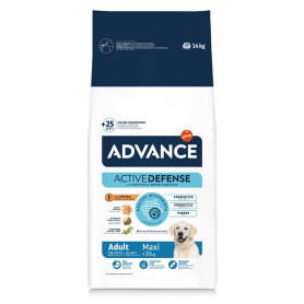 Croquette pour chien + 30kg - Chien adulte maxi poulet - Advance Adult