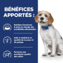 benefices-hill's chien