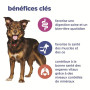 Vet essentials Canine Adult Poulet & Légumes Boîte