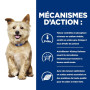 K/D Kidney Croquettes pour Chien