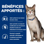 K/D Kidney Croquettes pour Chat au Poulet