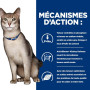 K/D Kidney Croquettes pour Chat au Poulet