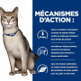 K/D Kidney Croquettes pour Chat au Thon