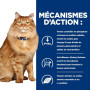 K/D J/D Kidney+Mobility Croquettes pour Chat au Poulet