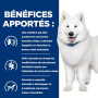 K/D J/D Kidney+Mobility Croquettes pour Chien