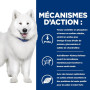K/D J/D Kidney+Mobility Croquettes pour Chien