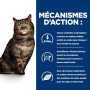 k/d Kidney Early Stage Croquettes pour Chat au Poulet