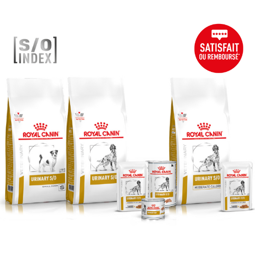 Gamme Royal Canin Urinary pour chien 