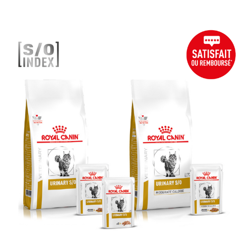 Gamme Royal Canin Urinary pour chat