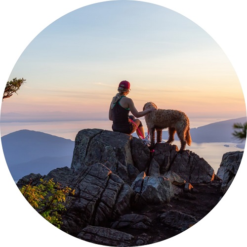 Un chien et son maître devant un coucher de soleil