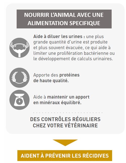 Les bienfaits d'une alimentation spécifique de l'animal 