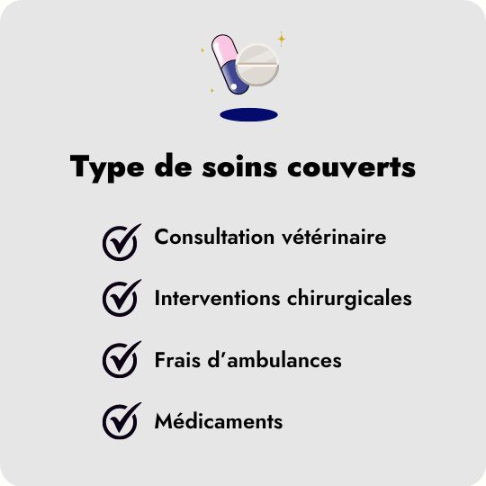 Les types de soins couverts par Dalma