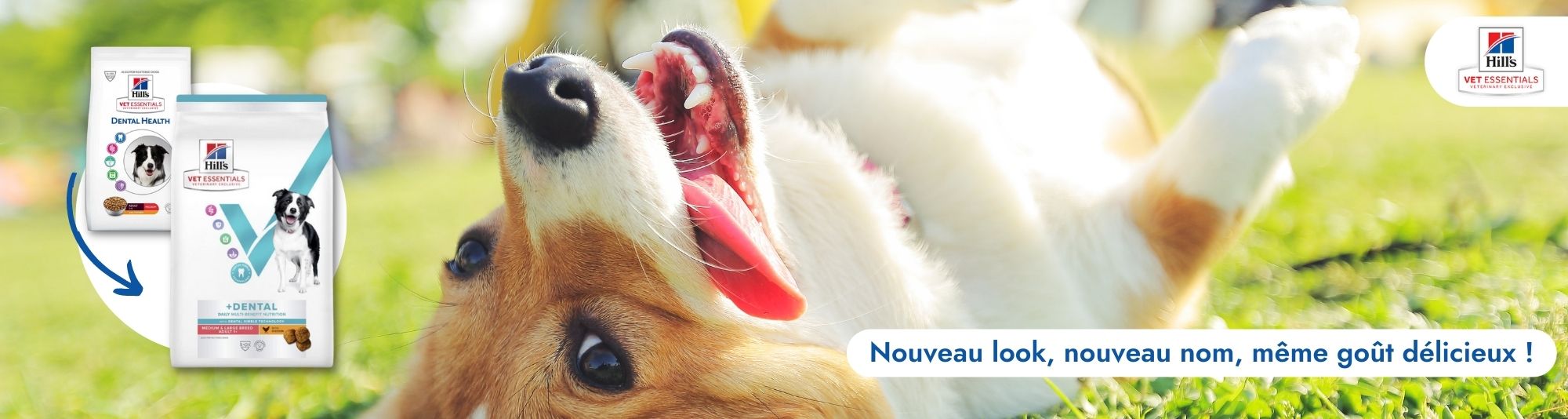 Nourriture et produit d'hygiène pour chien sur VetoAvenue