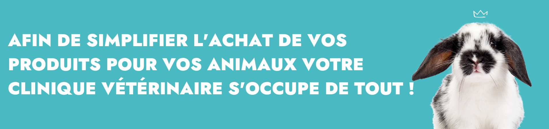 VetoAvenue la boutique en ligne de votre vétérinaire : restez connecté avec  votre vétérinaire