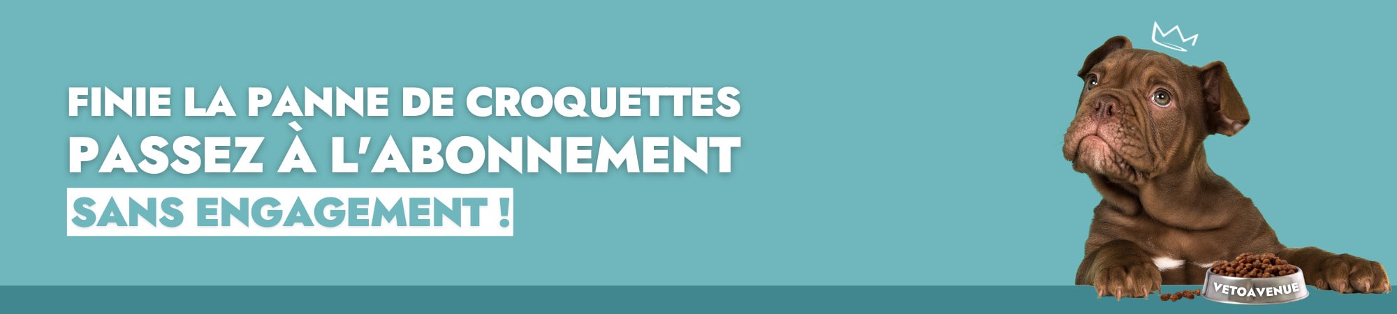 abonnement-sans-engagement-vetoavenue