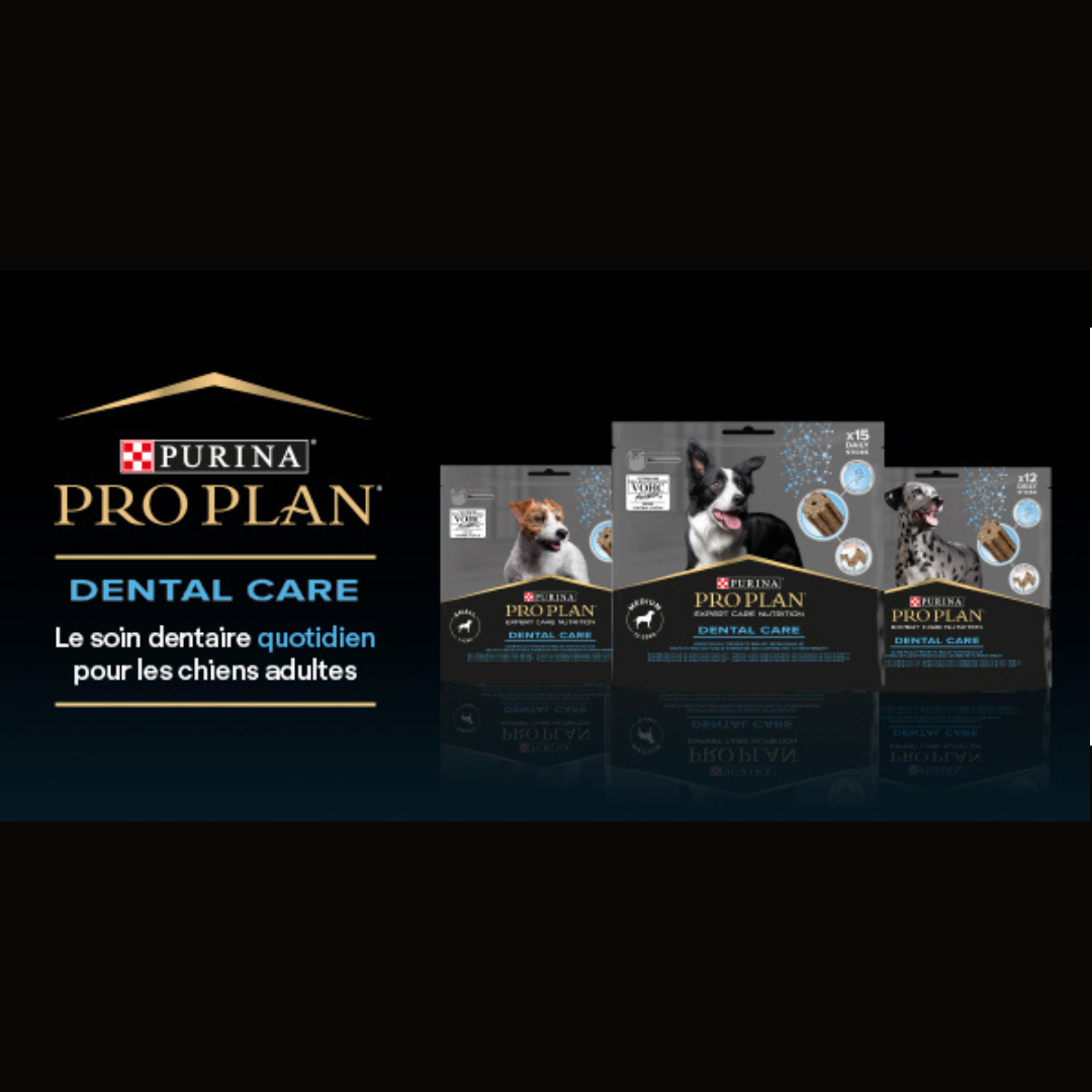 Sachets de ProPlan Dental Care