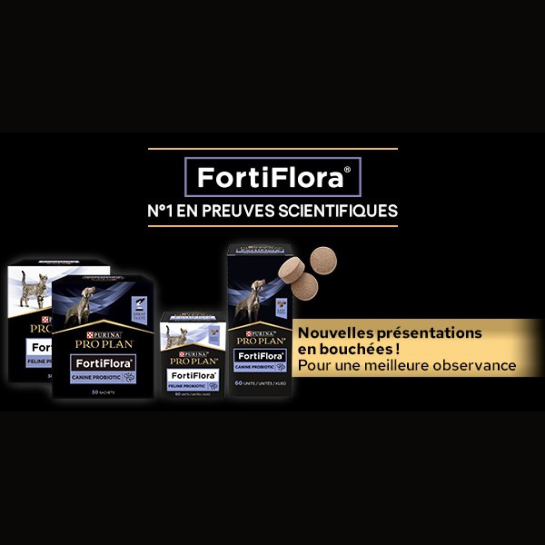 Boîtes de FortiFlora avec bouchées