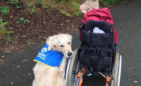 Chien d'assistance avec enfant en fauteuil roulant