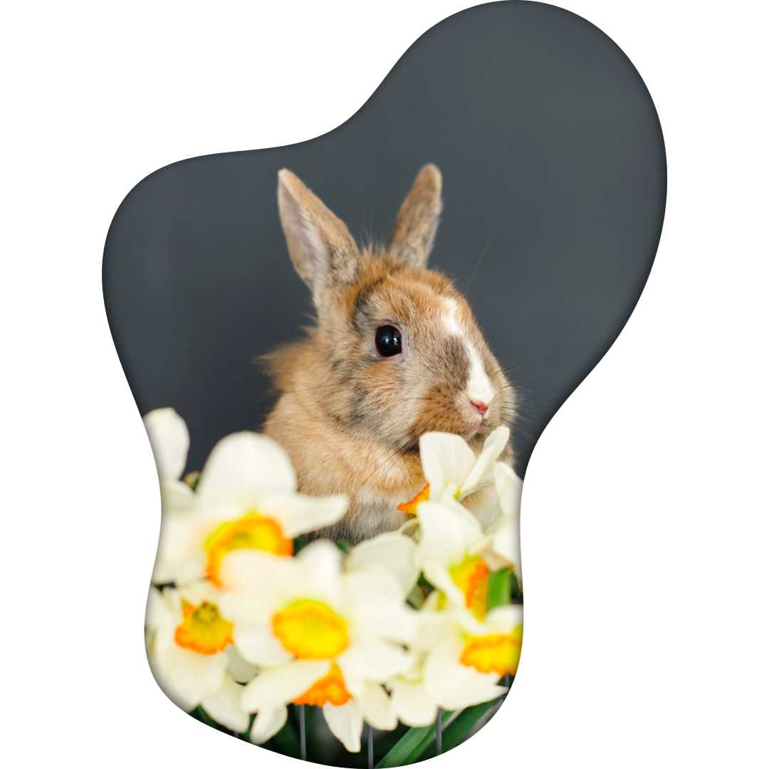 Lapin avec bouquet de fleurs