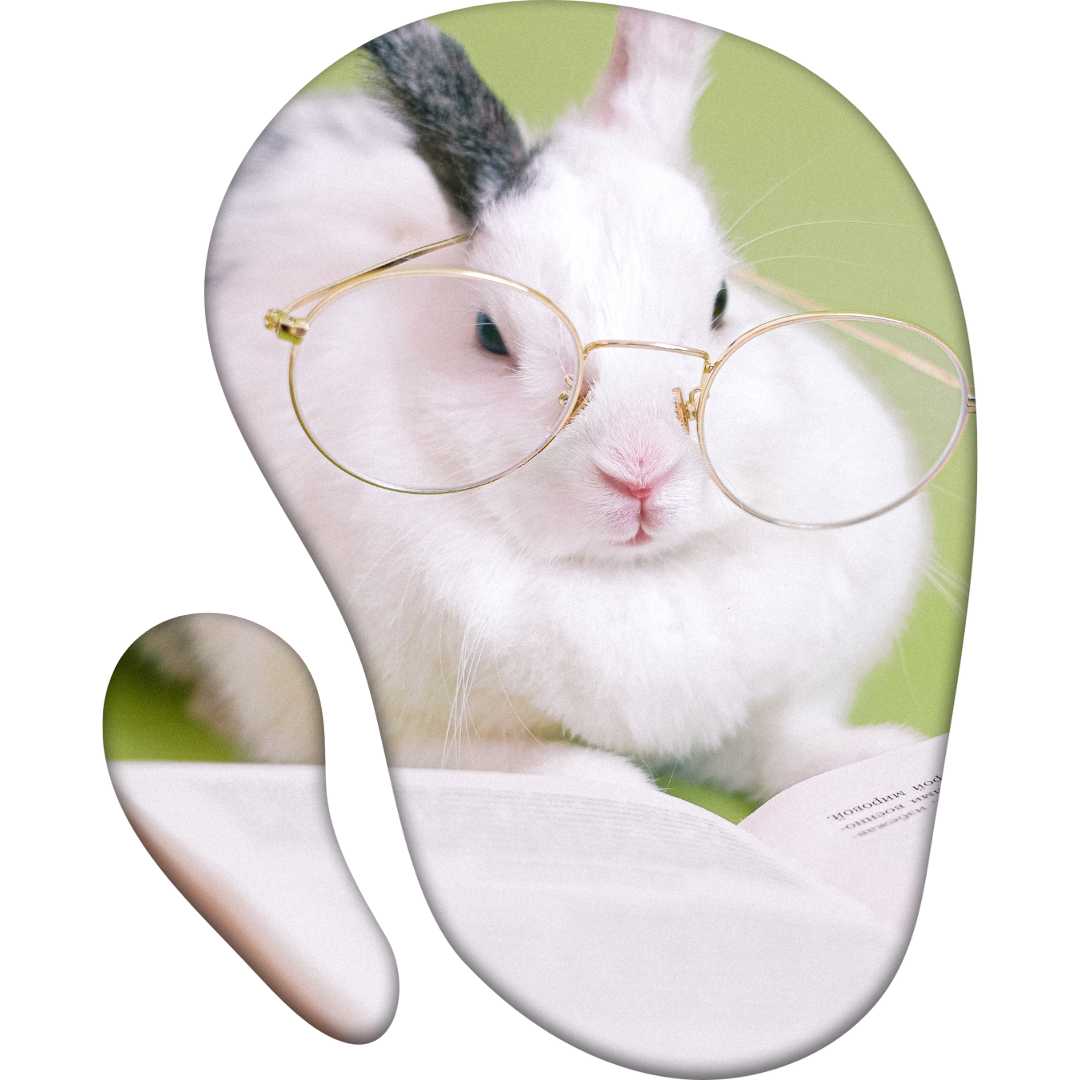 Lapin avec des lunettes