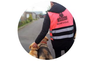 Bénévole Gamelles Pleines avec deux chiens