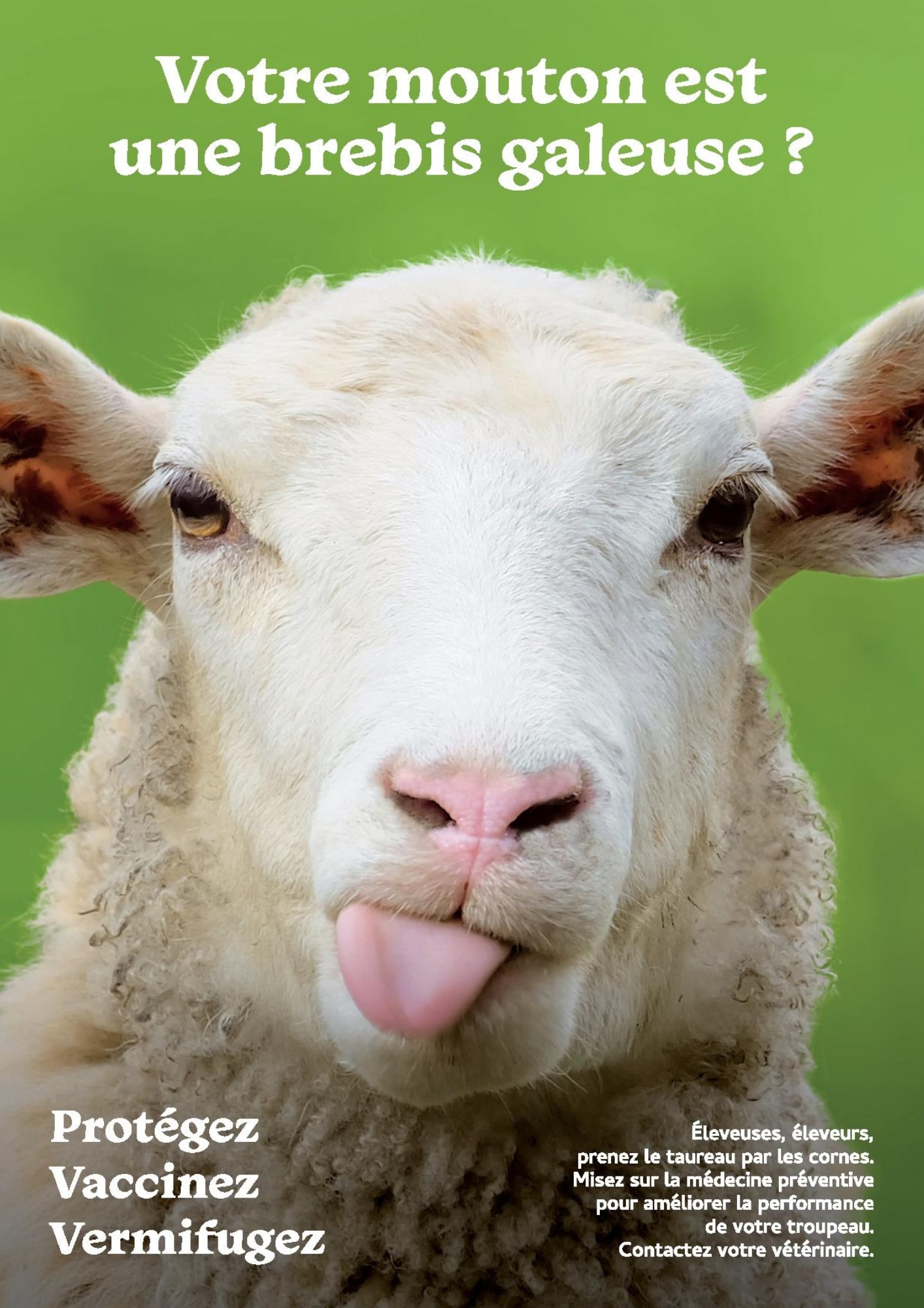 Votre mouton est une brebis galeuse ?