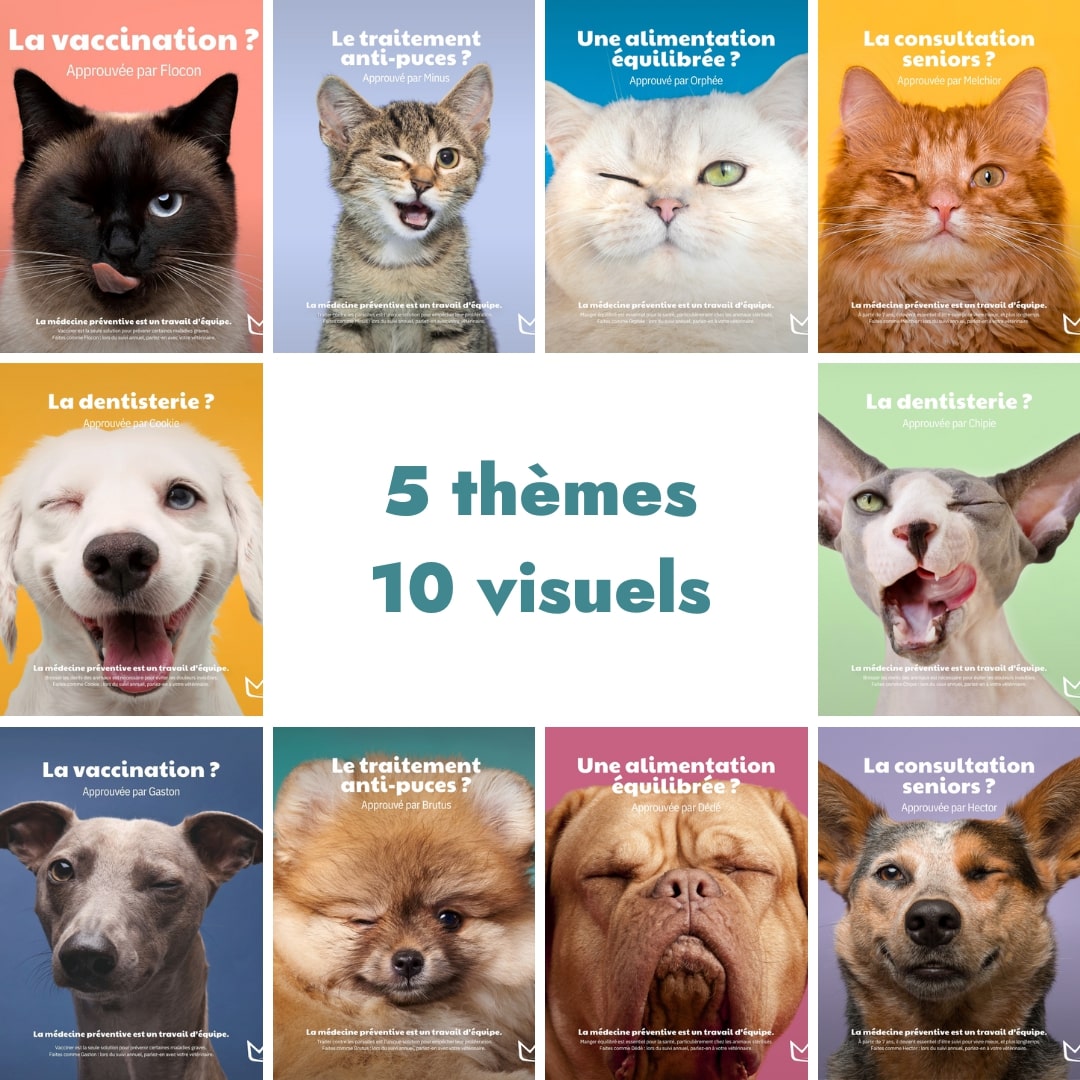10 affiches de la campagne de communication canine 2023