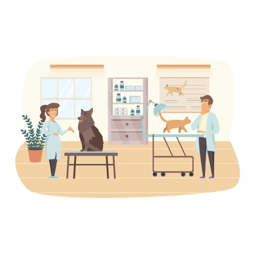 Un chat et un chien sur des tables d'oscultation en clinique vétérinaire