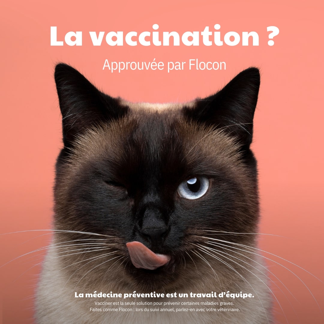 La vaccination approuvée par Flocon