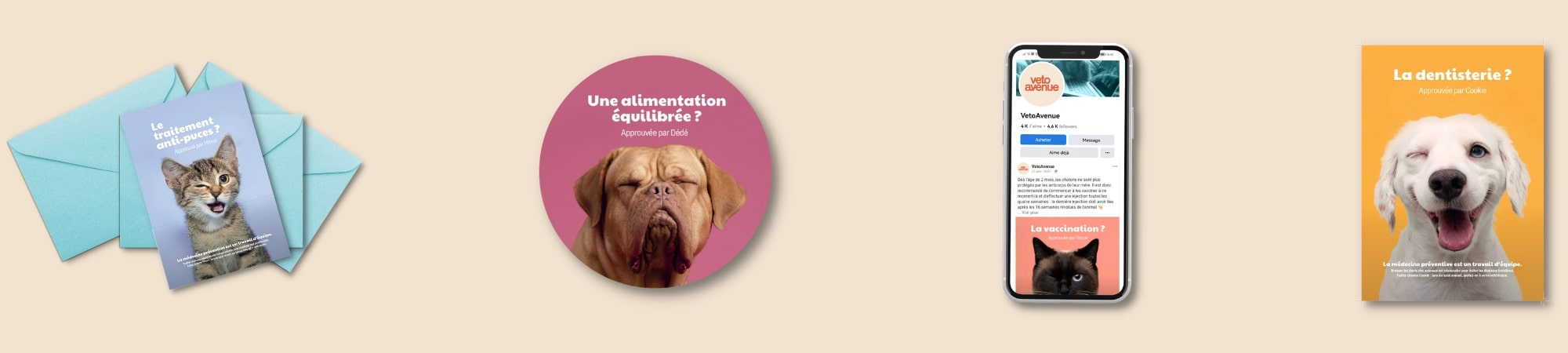 Exemples de supports de la campagne de communication canine