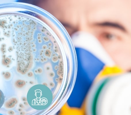 Tout savoir sur la Bactériologie du lait