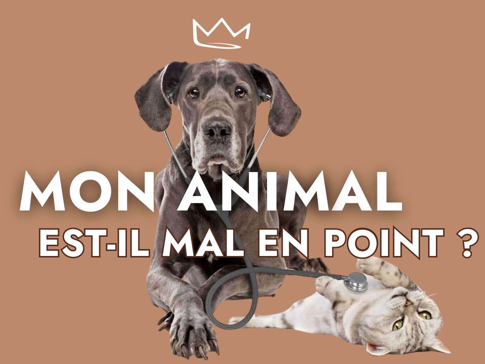 Mon animal est-il mal en point ?