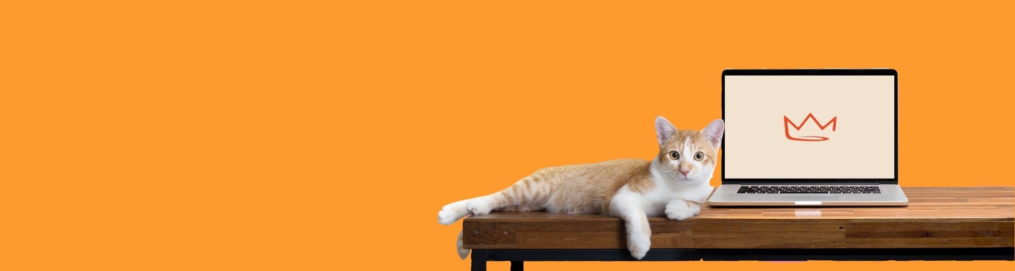 Croquettes pour chat Croquettes pour chat
