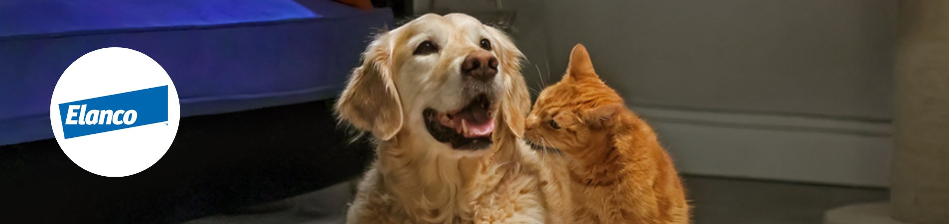 Un chat et un chien avec le logo Elanco